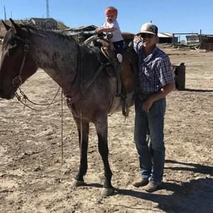 Meet your Posher, Wyatt